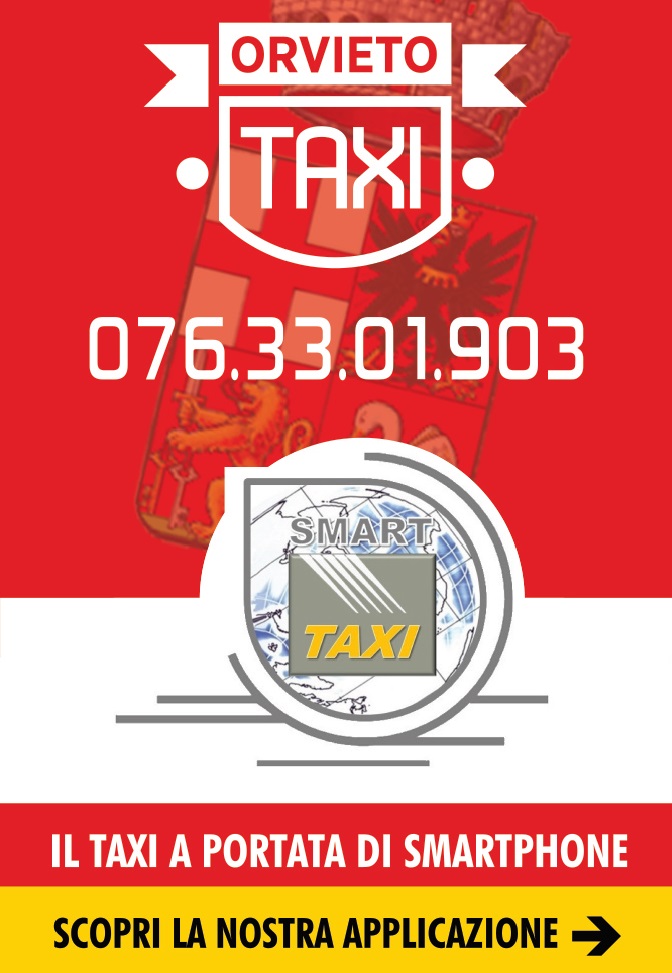 taxi_1 3207